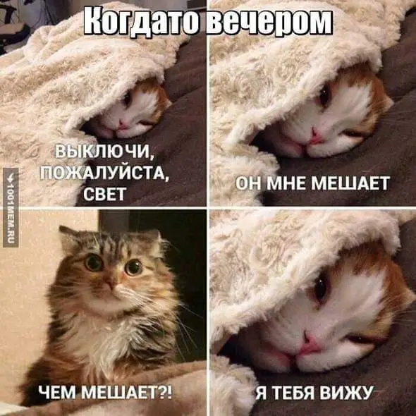 FB_IMG_1643262229752.webp