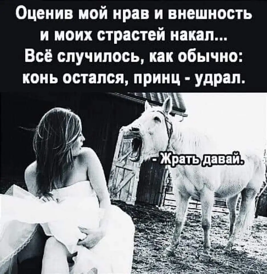 FB_IMG_1643262338359.webp