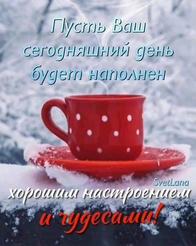 FB_IMG_1643262443363.webp