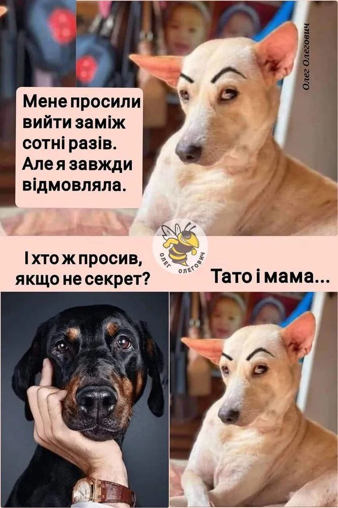 FB_IMG_1643456095595.webp