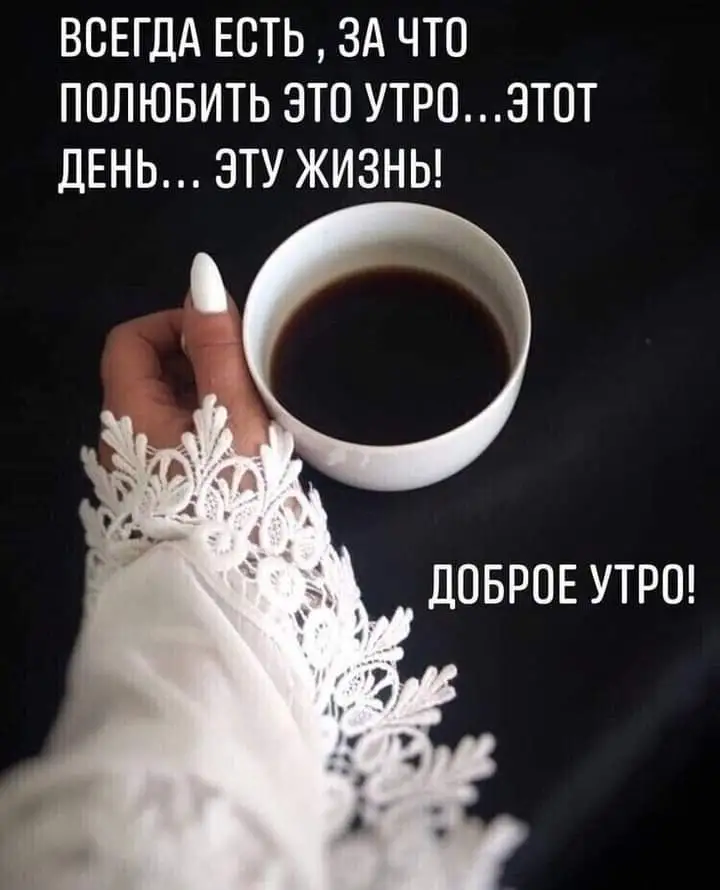 FB_IMG_1643459390298.webp