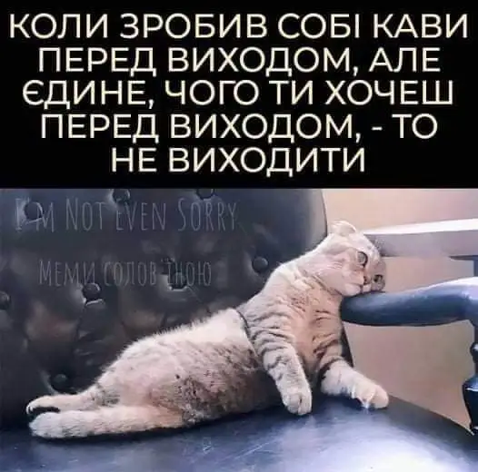 FB_IMG_1643535523884.webp