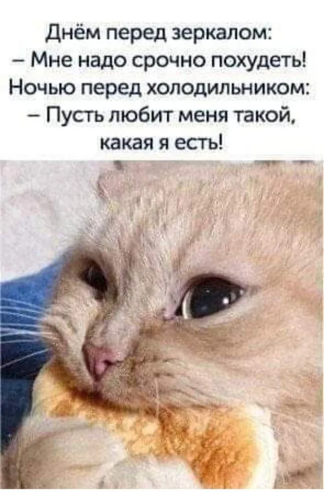 FB_IMG_1643552163472.webp