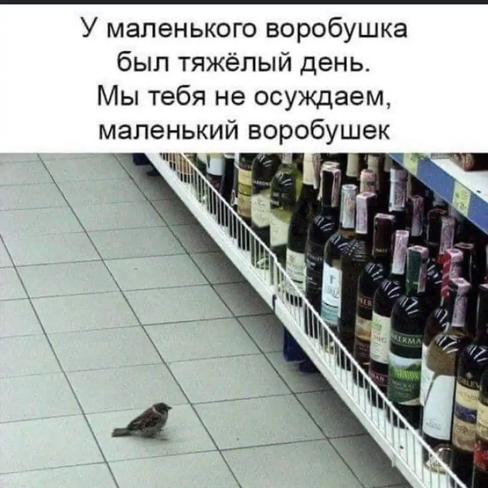 FB_IMG_1643552592281.webp