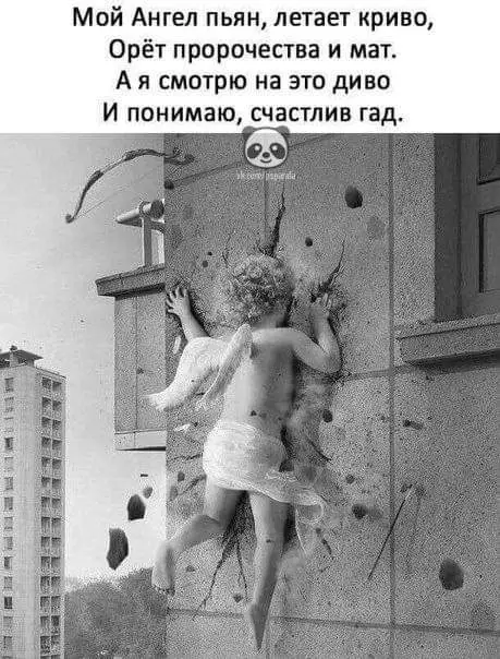 FB_IMG_1643554912957.webp