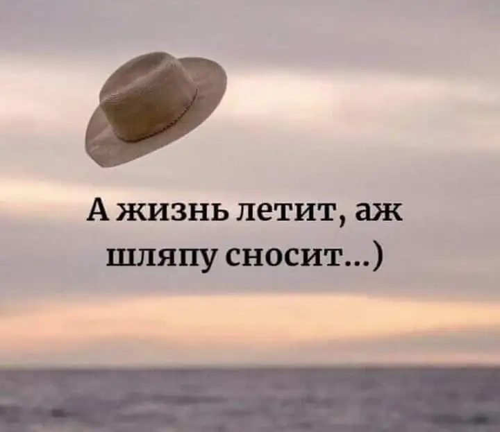 FB_IMG_1643555323194.jpg