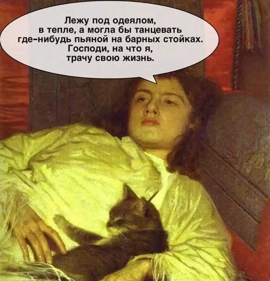 FB_IMG_1643564682689.webp