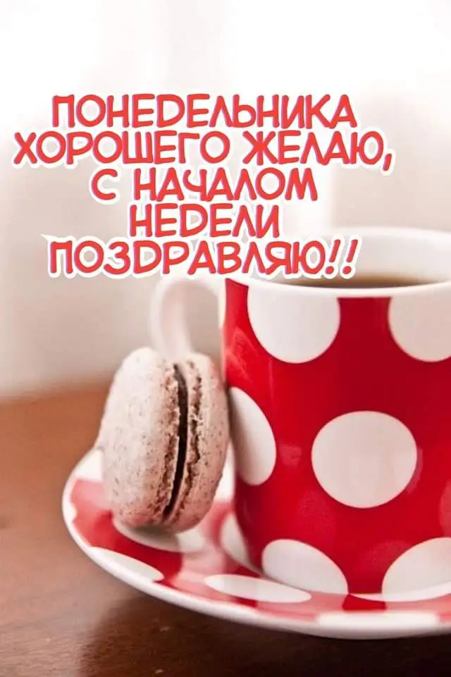 FB_IMG_1643585578068.webp