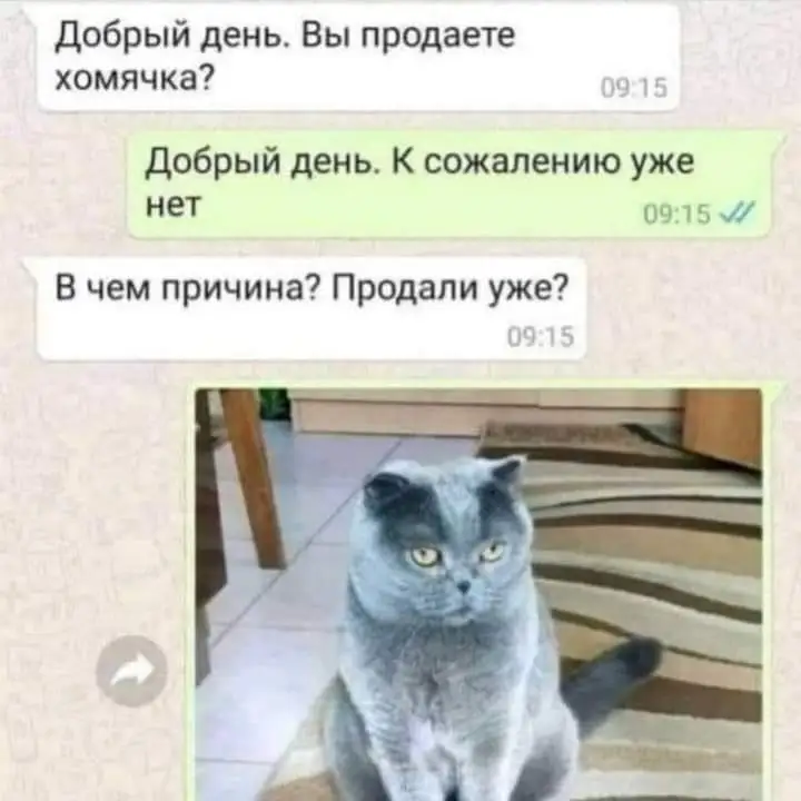 FB_IMG_1643634927702.webp