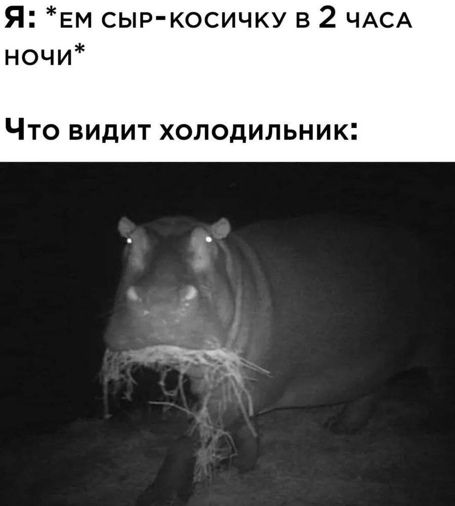FB_IMG_1643703594988.webp