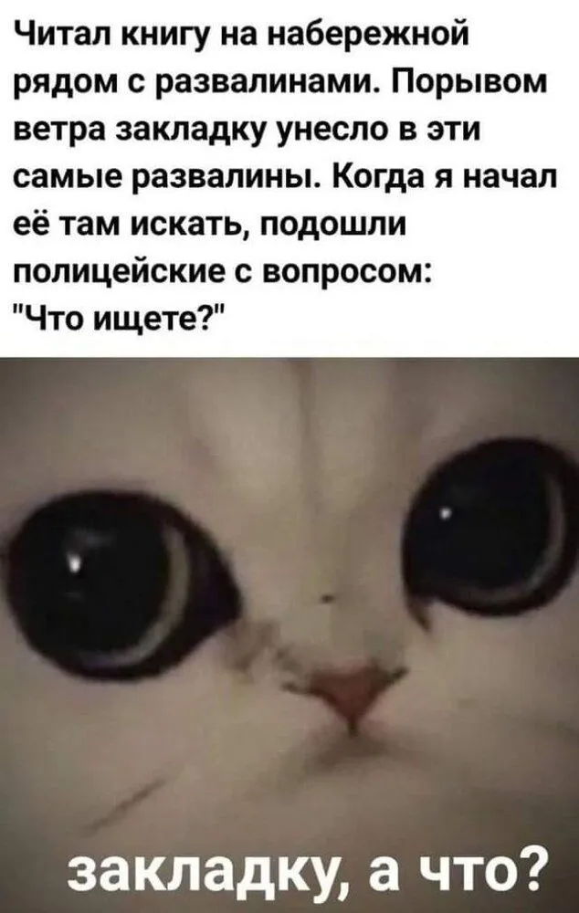 FB_IMG_1643781576468.webp