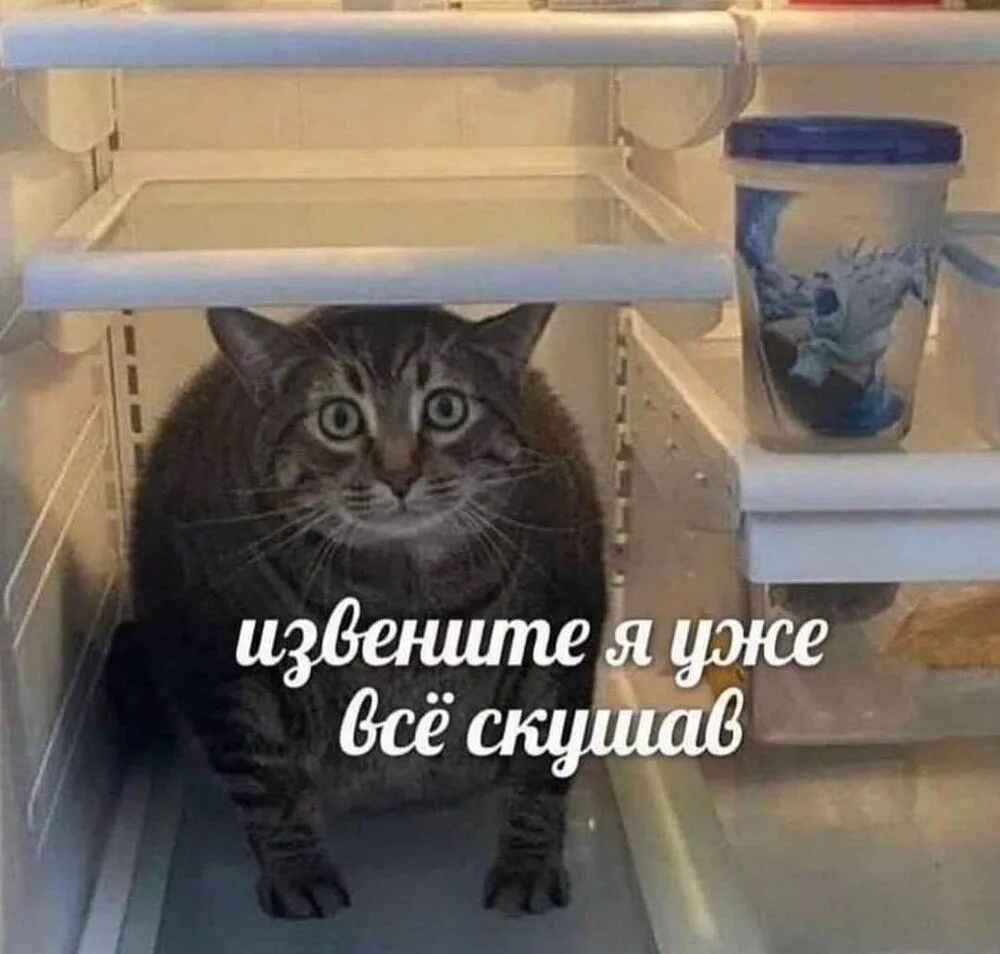 FB_IMG_1643786548291.webp