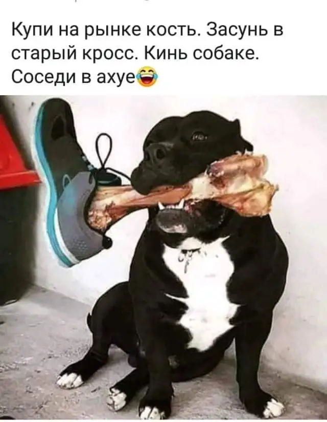 FB_IMG_1643790503571.webp