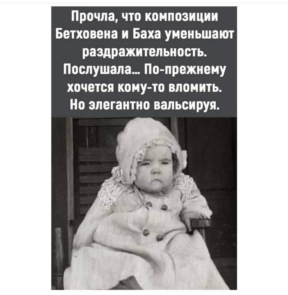 FB_IMG_1643893698449.webp