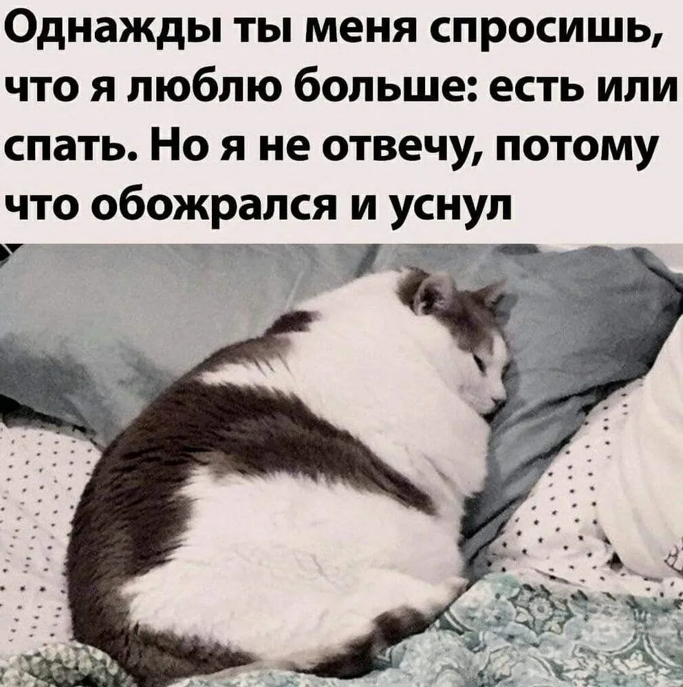 FB_IMG_1643894576927.webp
