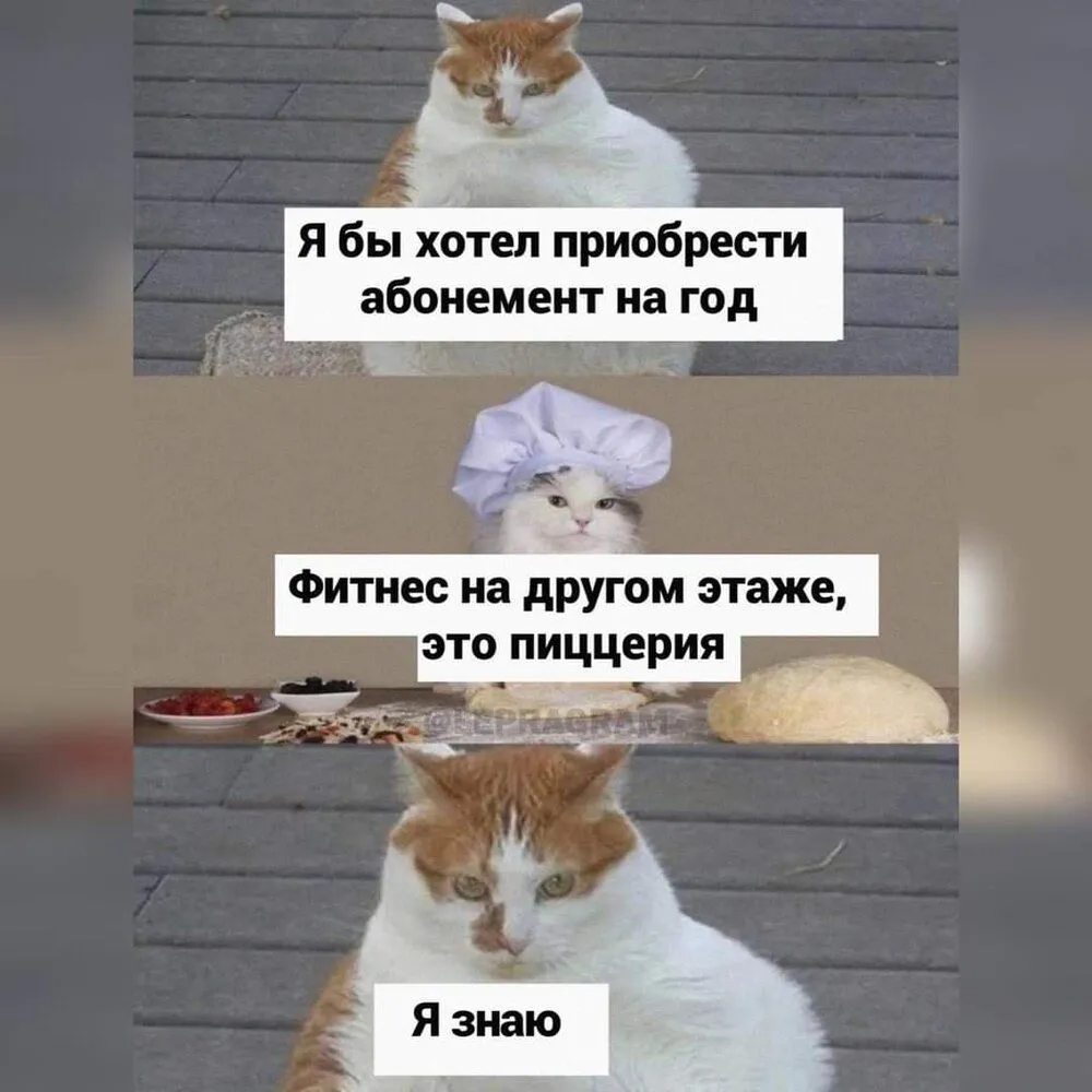 FB_IMG_1644090452410.webp