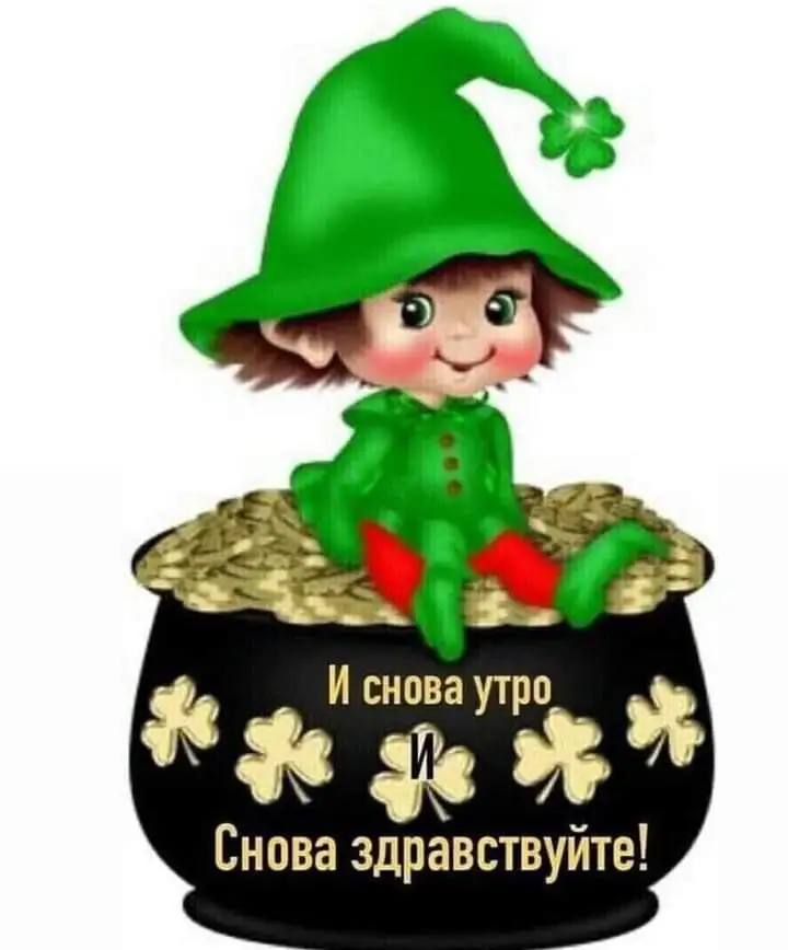 FB_IMG_1644129444279.webp