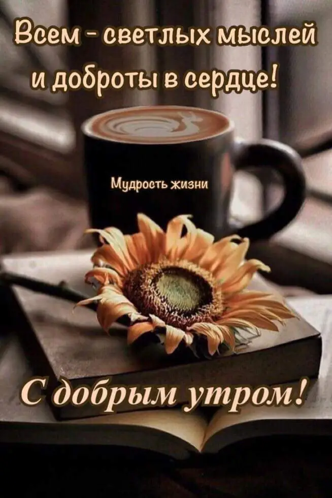 FB_IMG_1644223494267.webp