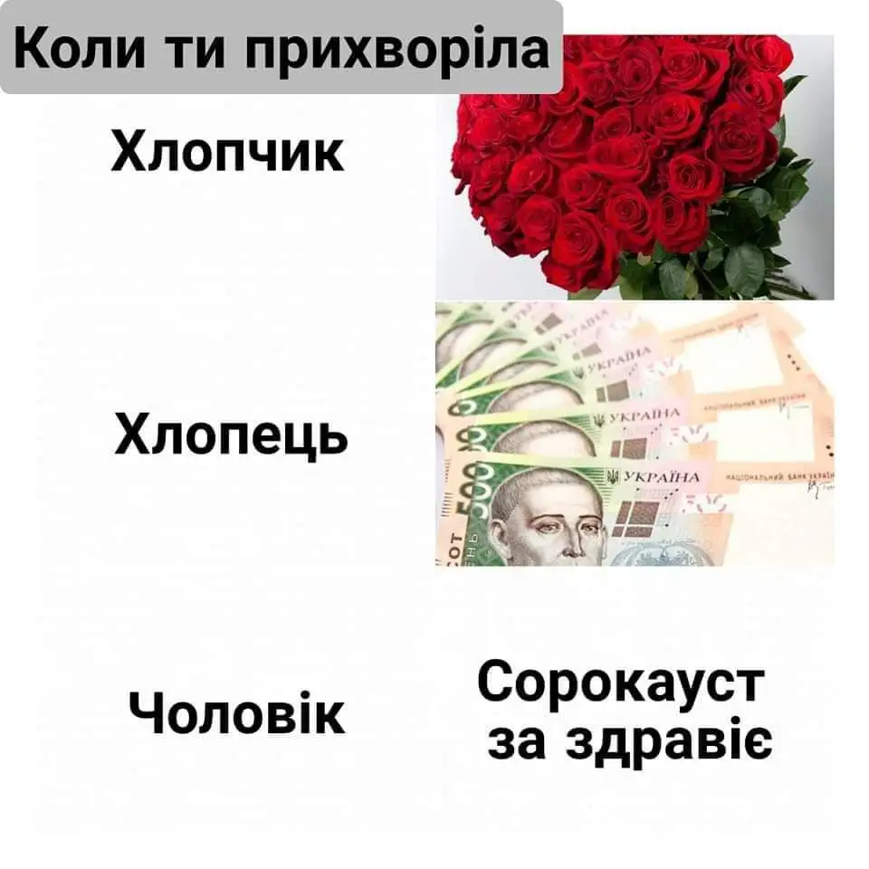 FB_IMG_1644226376266.webp