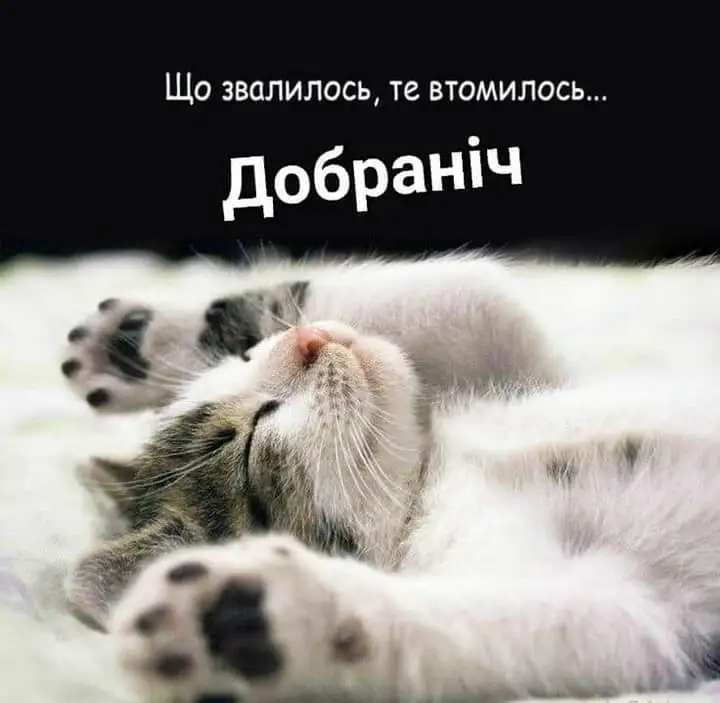 FB_IMG_1644326066272.webp
