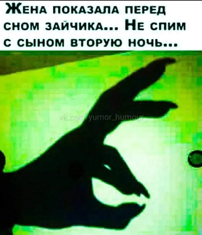 FB_IMG_1644384388252.webp