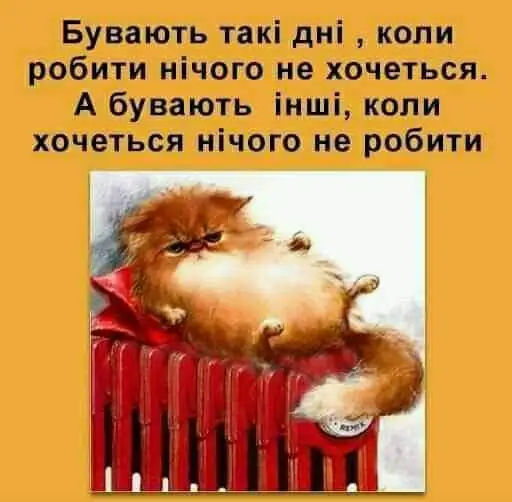 FB_IMG_1644473564028.webp
