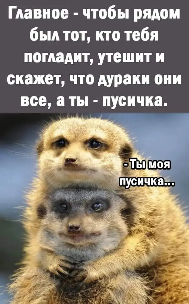 FB_IMG_1644496363970.webp
