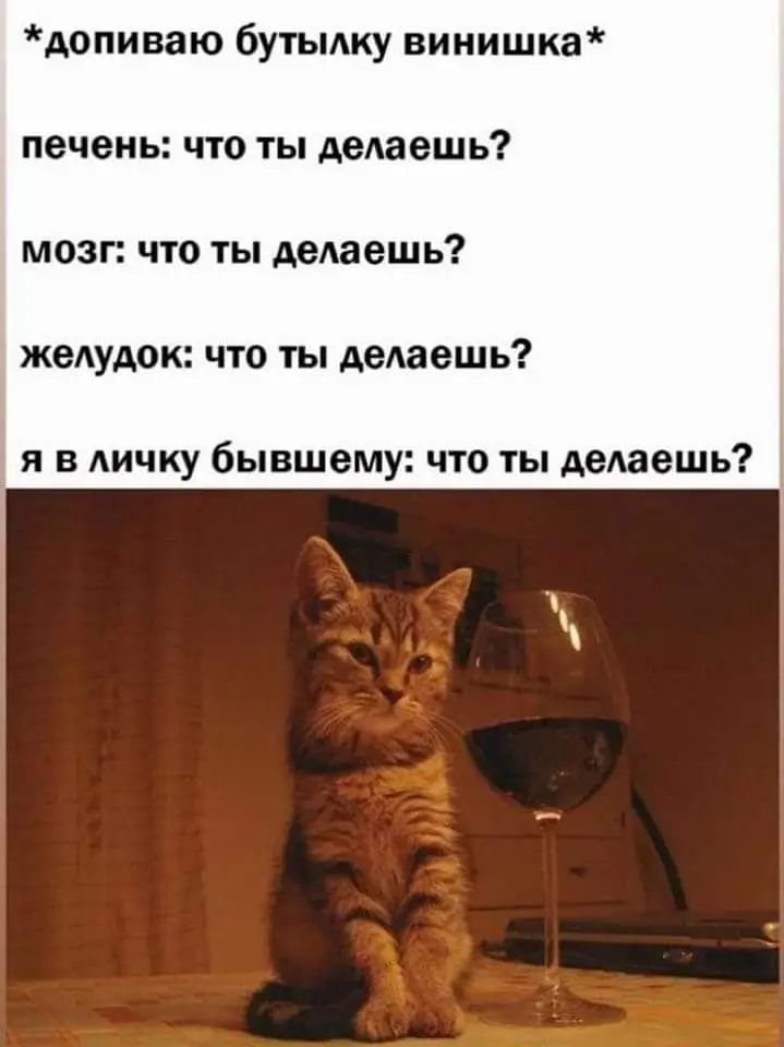 FB_IMG_1644504872324.webp