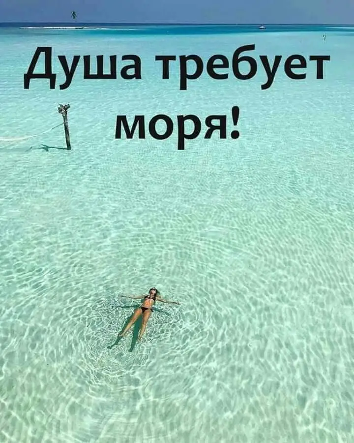 FB_IMG_1644536361583.webp