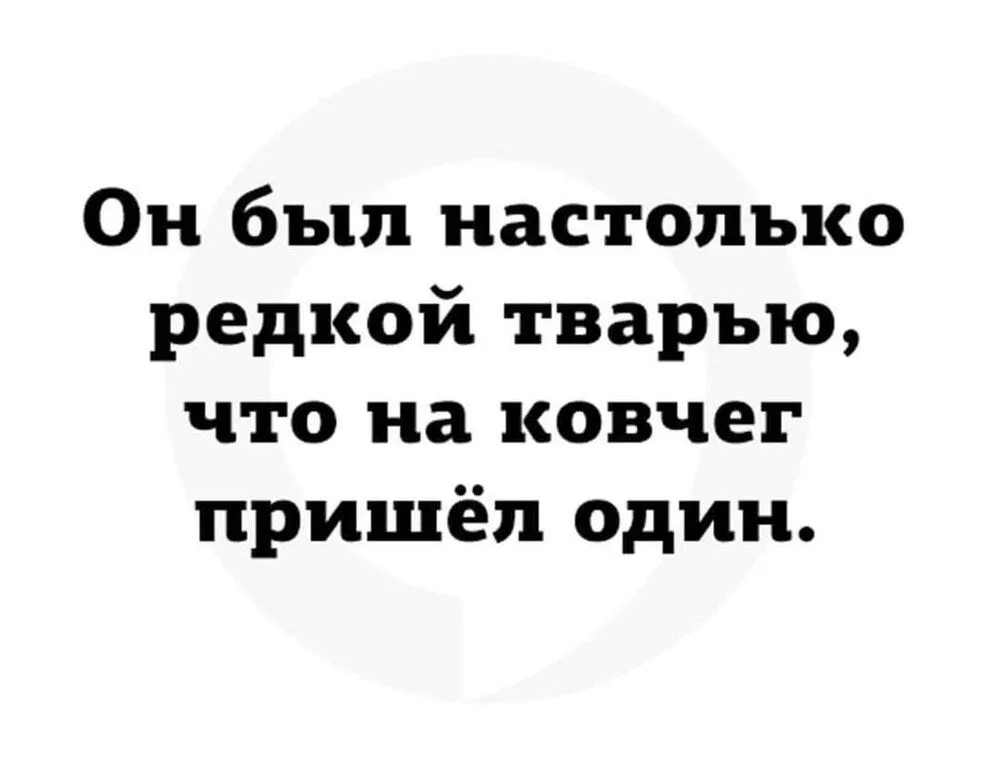 FB_IMG_1644576143142.webp