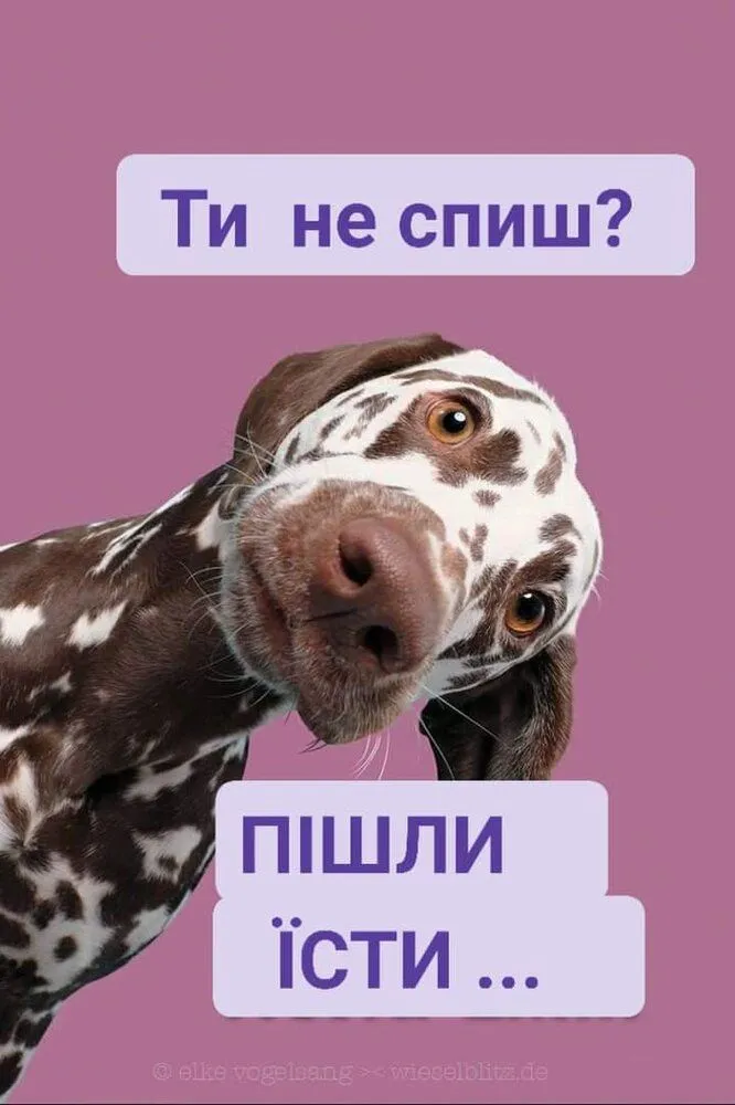FB_IMG_1644623621691.webp