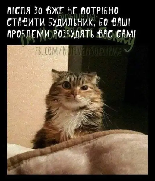 FB_IMG_1644758273945.webp