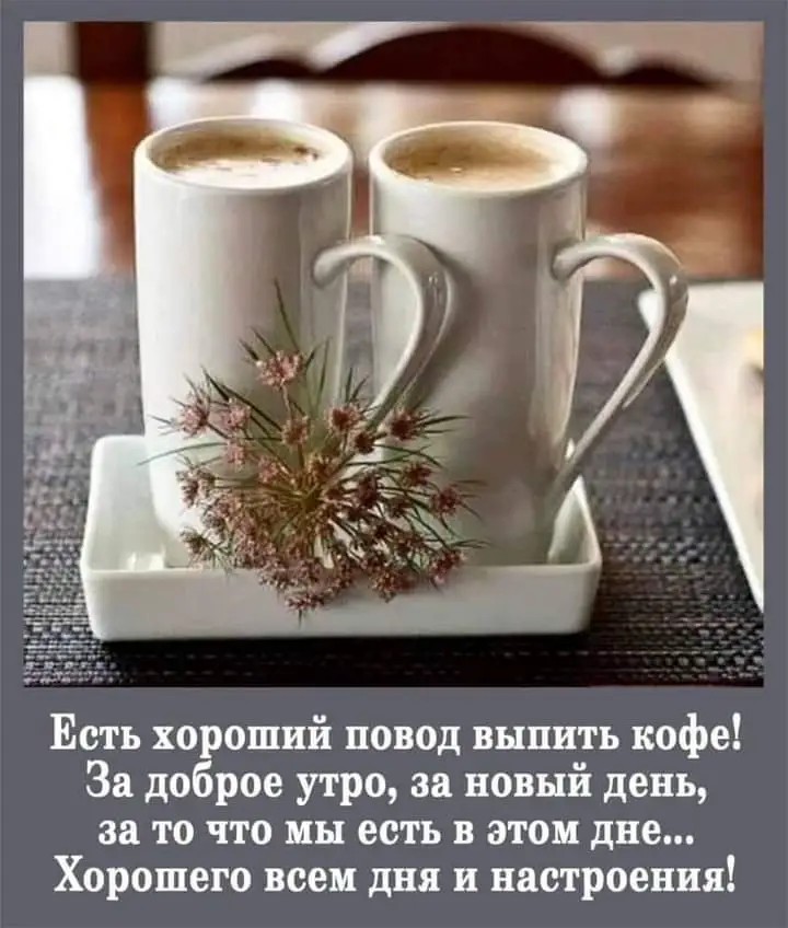 FB_IMG_1644793503566.webp