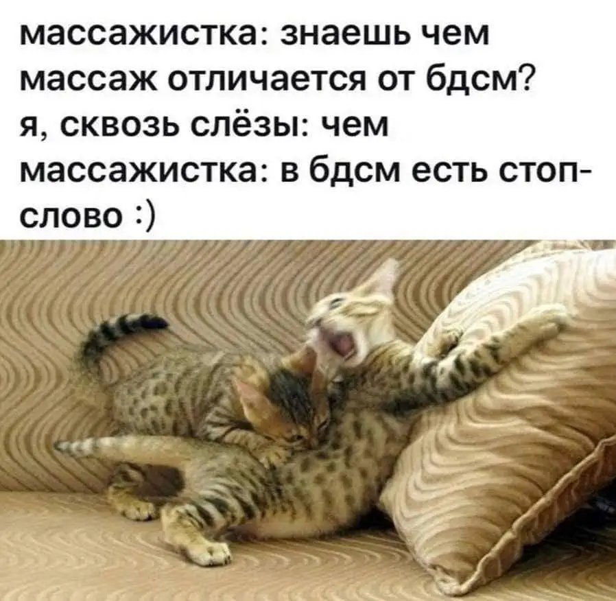 FB_IMG_1644838948910.webp