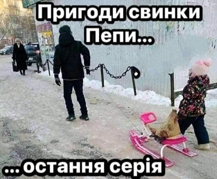 FB_IMG_1644839093795.webp