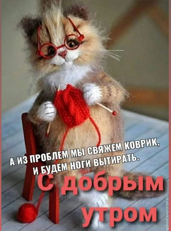 FB_IMG_1644962663505.webp