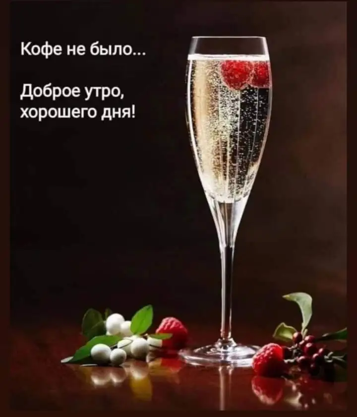 FB_IMG_1644964465152.webp