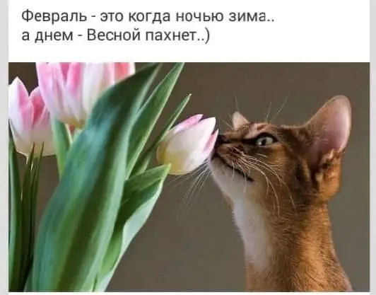 FB_IMG_1645105012641.webp