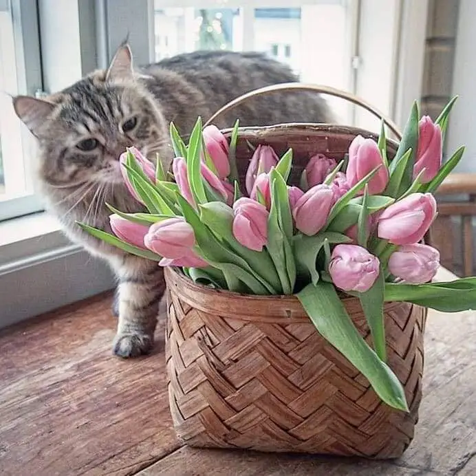 FB_IMG_1645253480671.webp