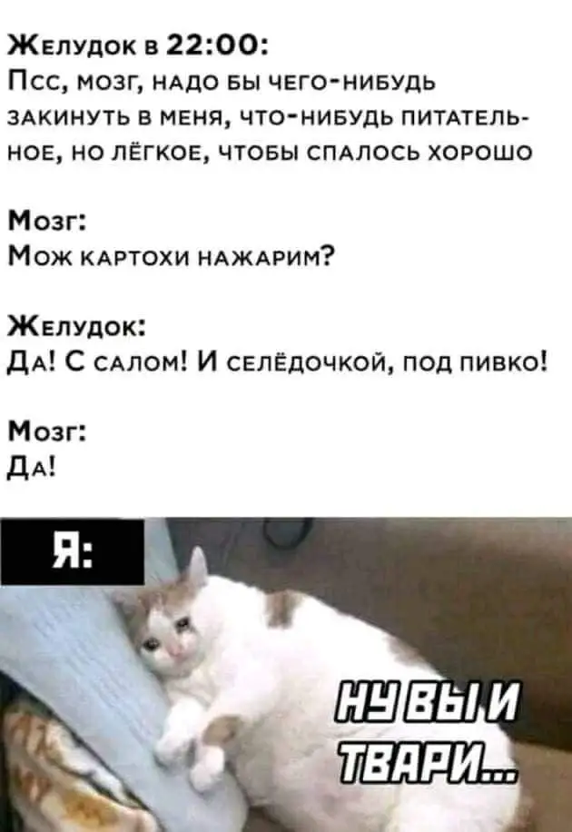 FB_IMG_1645378690018.webp