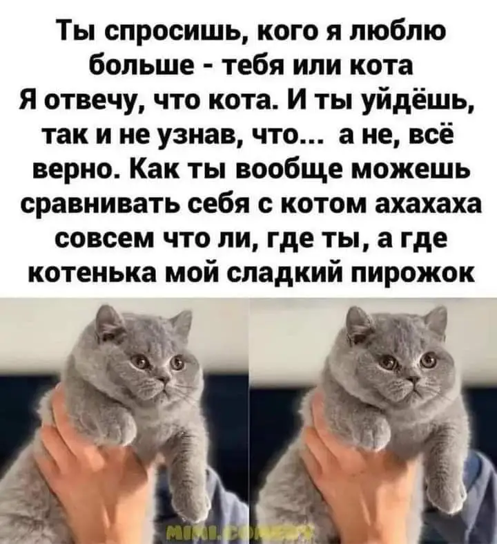 FB_IMG_1645534946491.webp