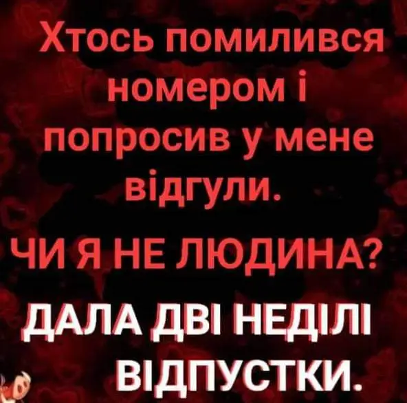 FB_IMG_1645606512425.webp
