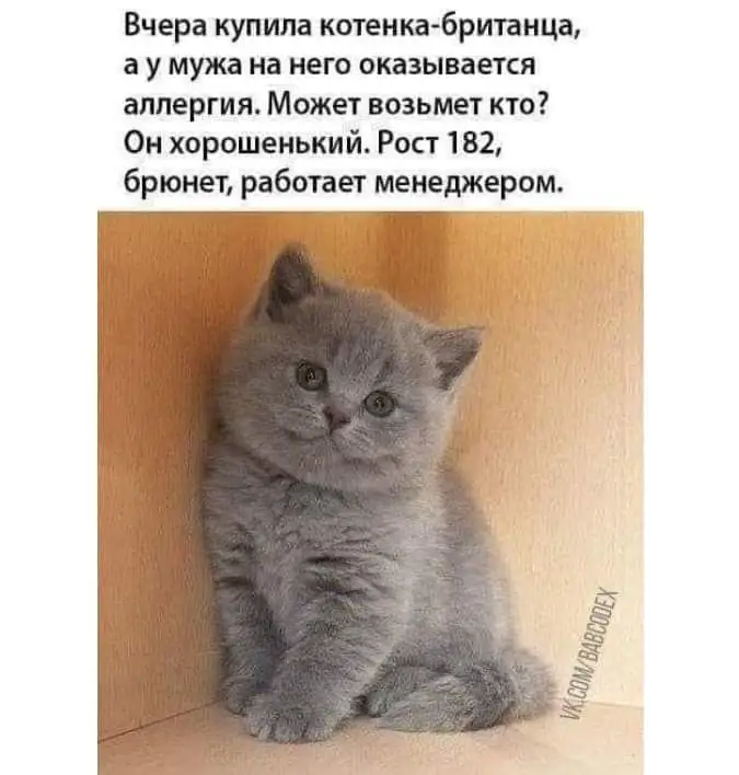 FB_IMG_1645606635637.webp
