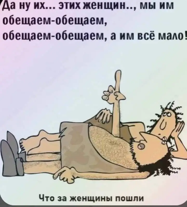 FB_IMG_1645632385222.webp