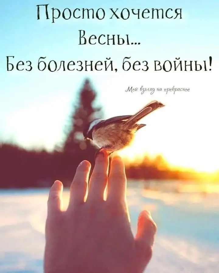 FB_IMG_1645686242758.webp