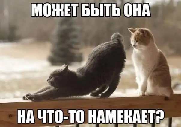 FB_IMG_1648144578013.webp