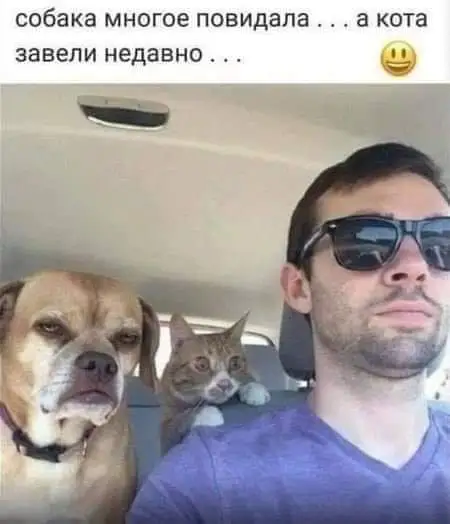 FB_IMG_1648329669307.webp