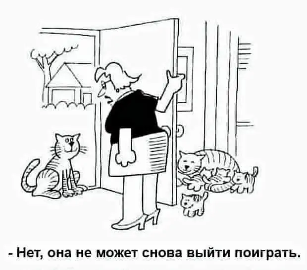 FB_IMG_1648844933225.webp