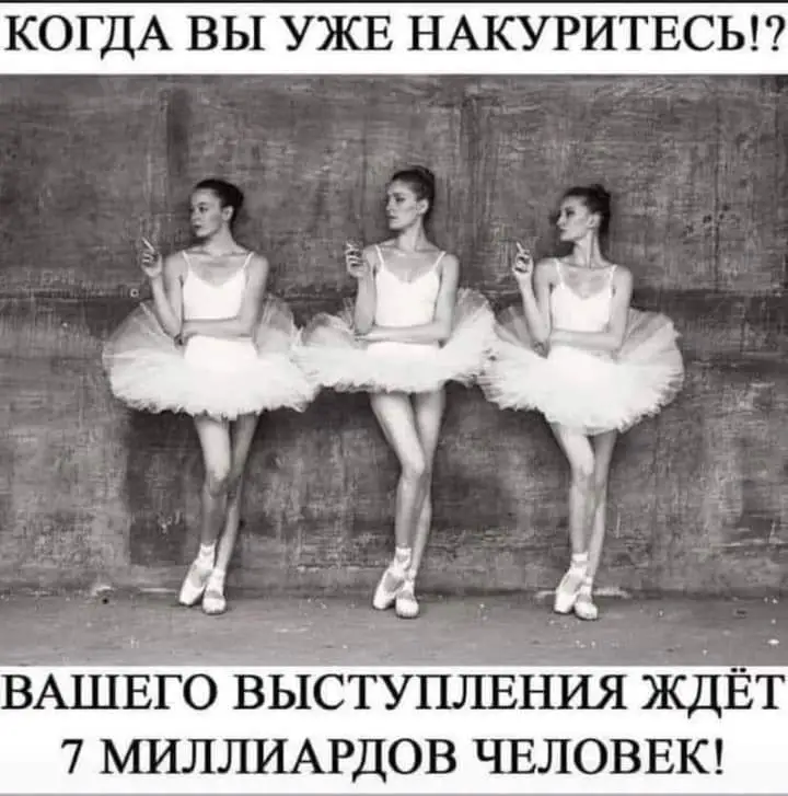 FB_IMG_1648918249749.webp