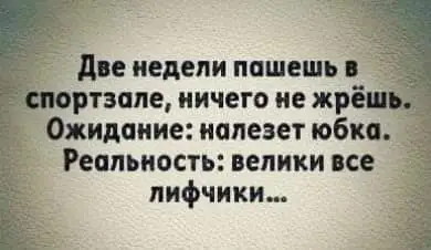 FB_IMG_1649581691702.webp